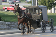 Amish transport