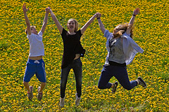 David, Julia & Josefin