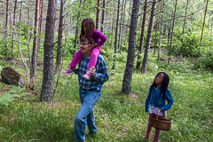 Picking mushrooms